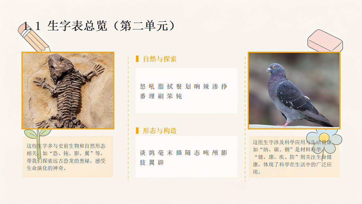 18463351第8页