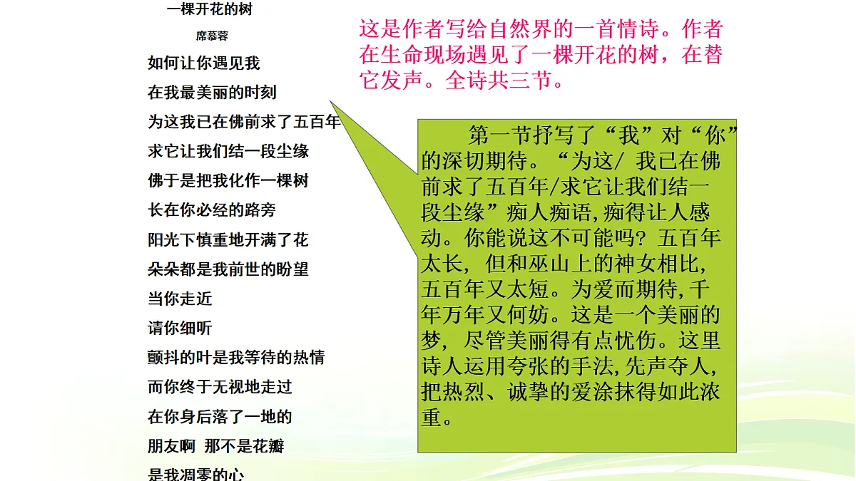 18464219第7页