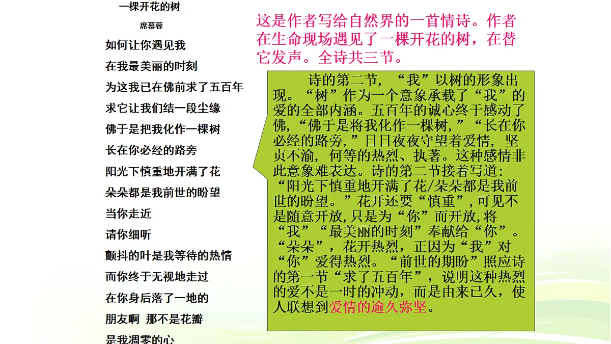 18464219第8页