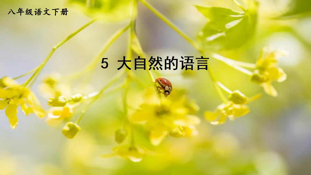 18464894第2页