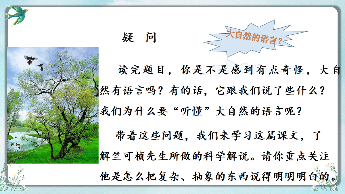 18464894第3页