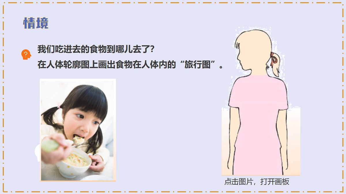 5.19 《人的消化器官》 - 小学科学三级下册 同步教学课件（苏教版2024）第5页