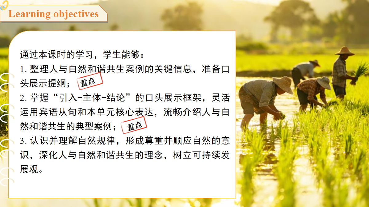 18465850第2页