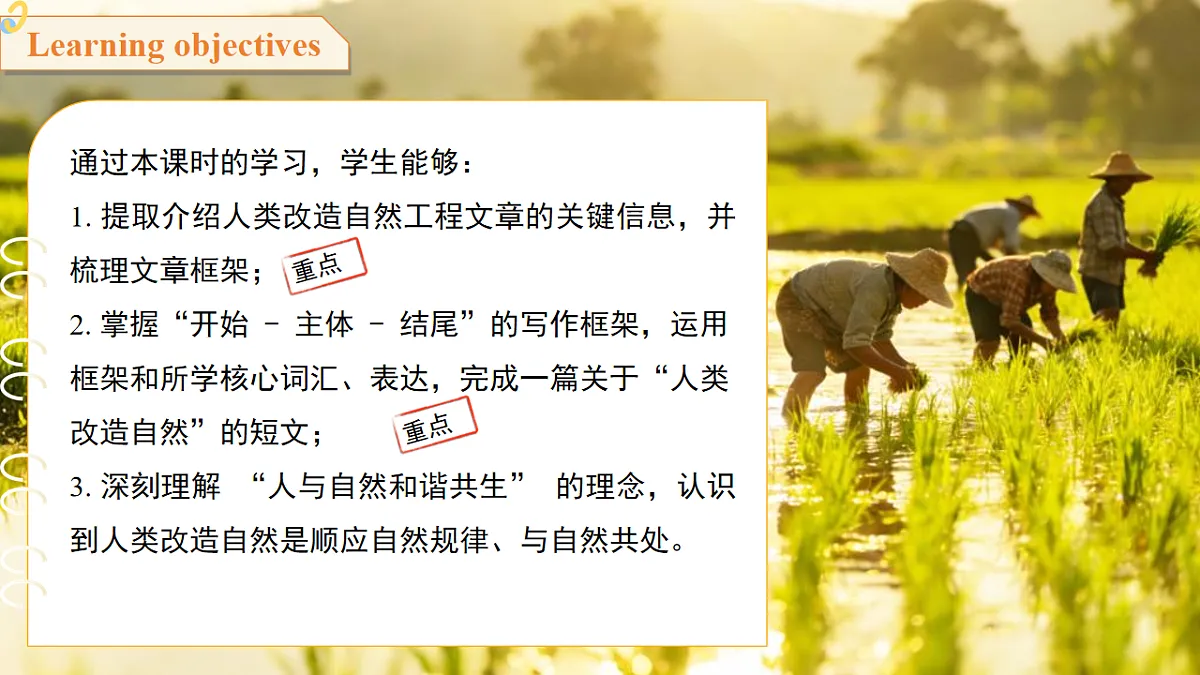 18465856第2页