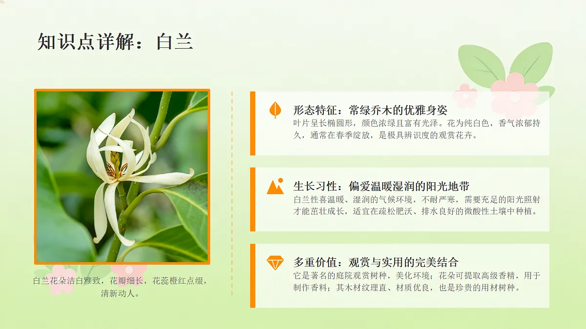 18466215第7页
