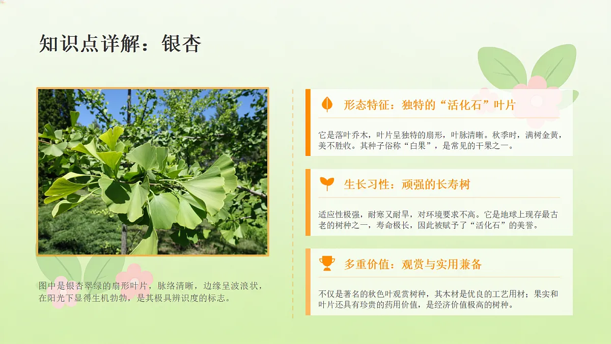 18466215第8页