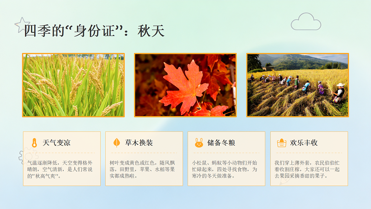 18466223第8页