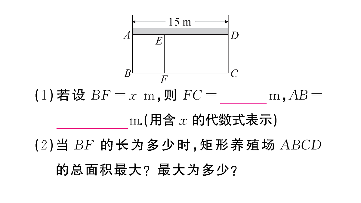 18467162第3页