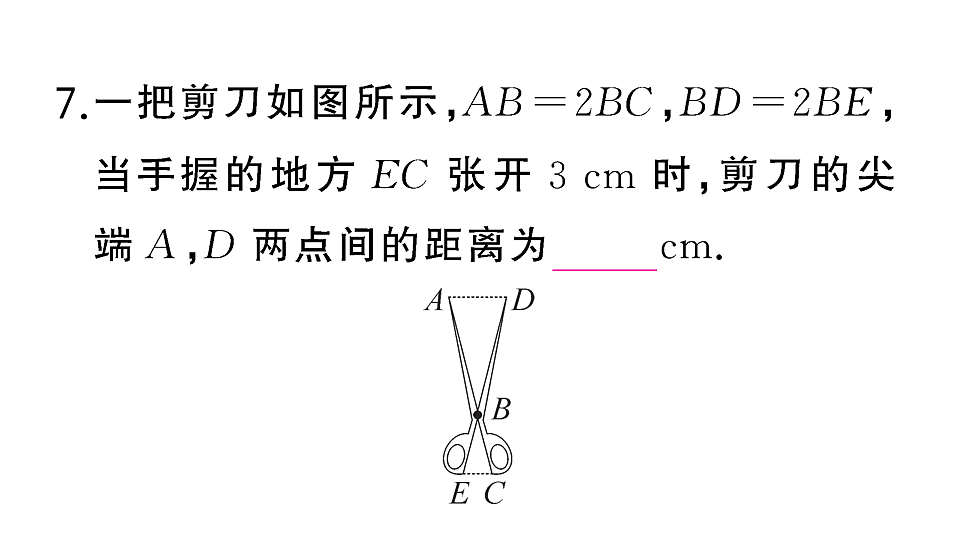 18467181第8页