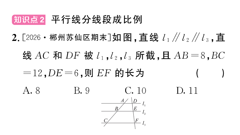 18467196第3页