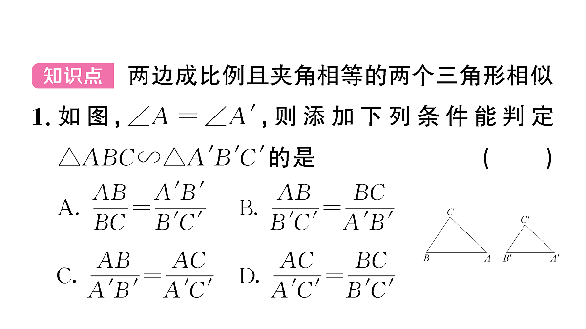 18467202第2页