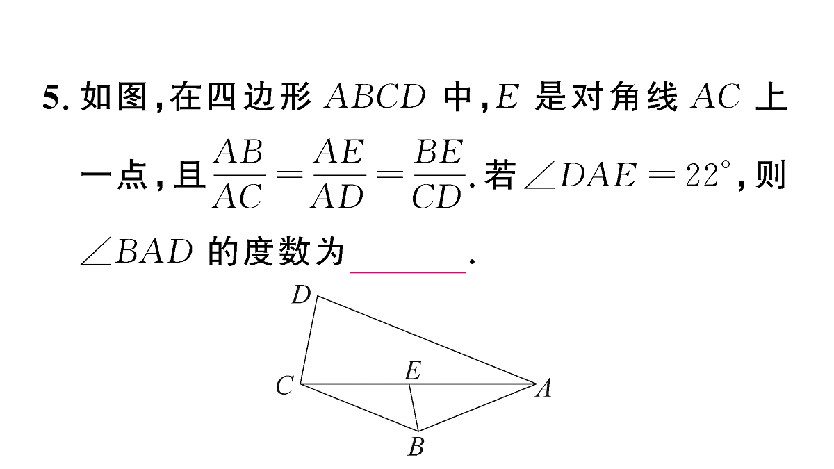 18467205第6页