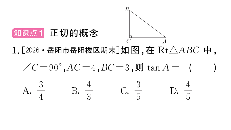 18467216第2页