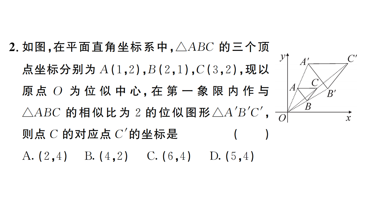 18467243第3页