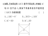 初中数学新北师大版九年级上册阶段小测（一）课后作业课件（放映显示答案）（2026秋）