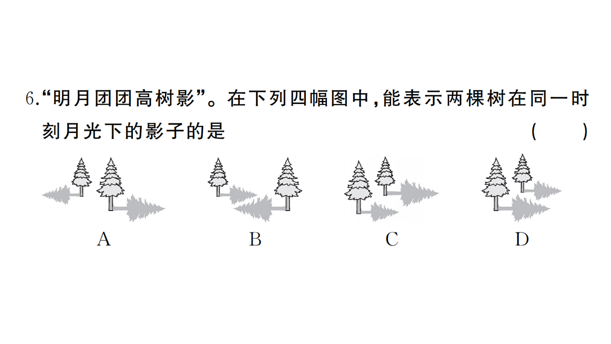 18467289第7页