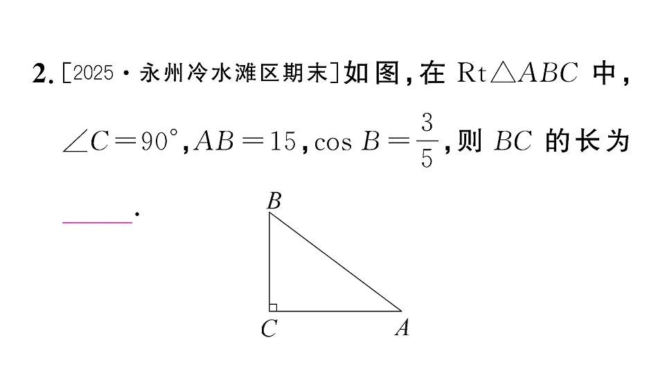 18467331第3页