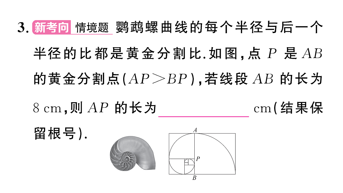 18467341第4页