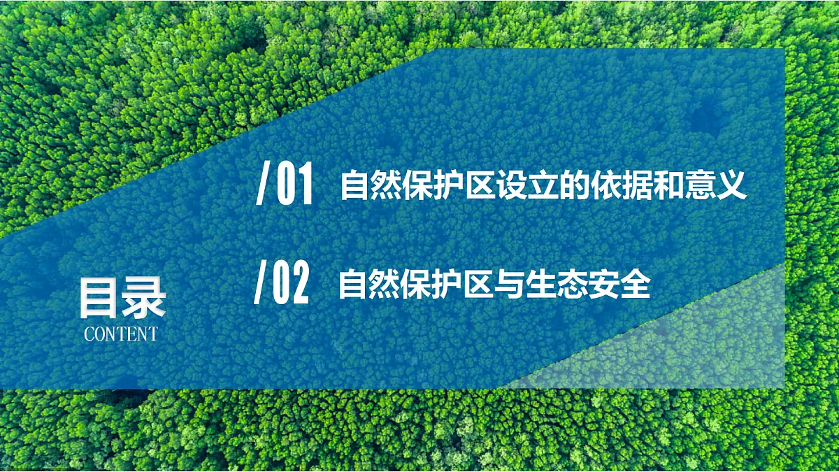 18468919第5页