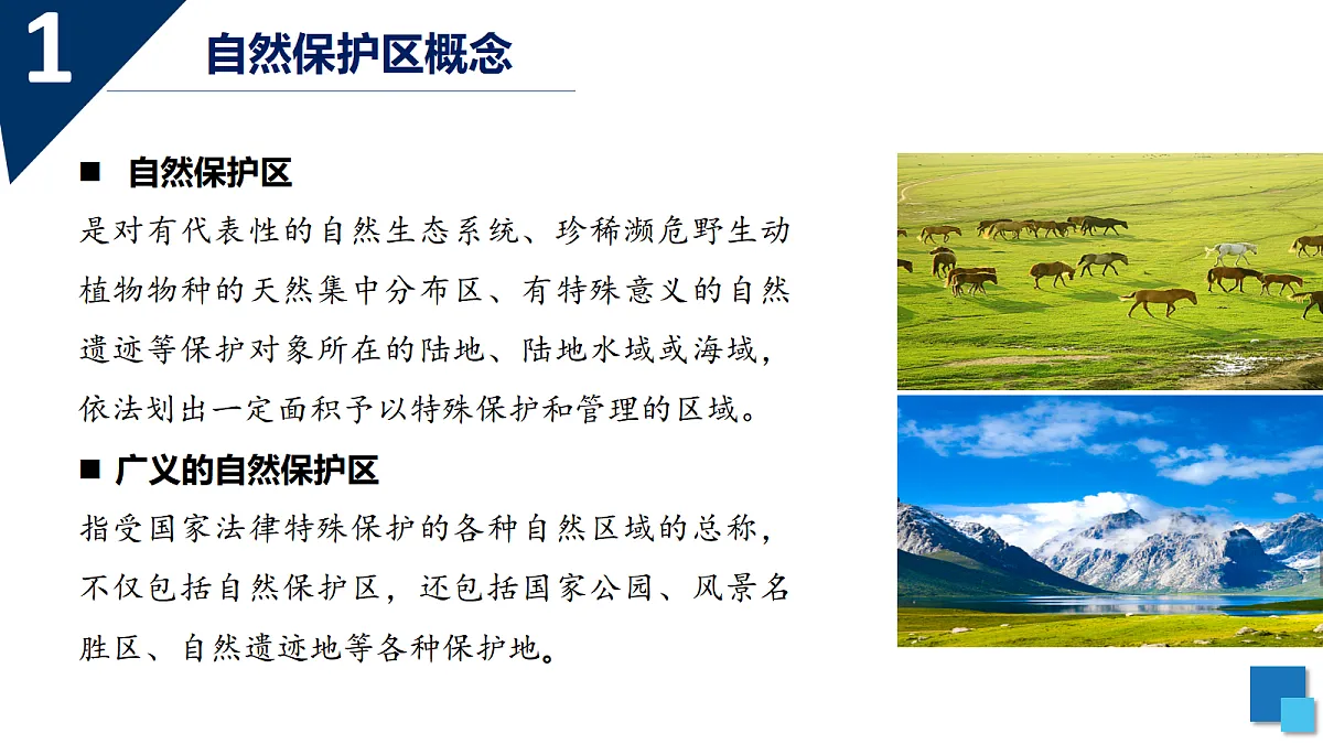 18468919第7页