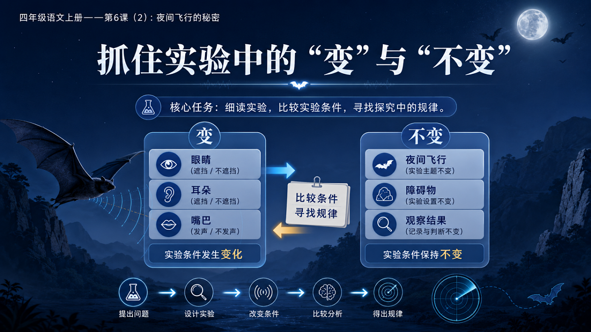 小学六年制统编教材系列课件——四年级语文上册第6课（2）：夜间飞行的秘密第4页