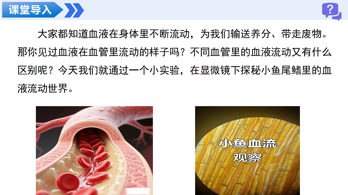 18469147第4页