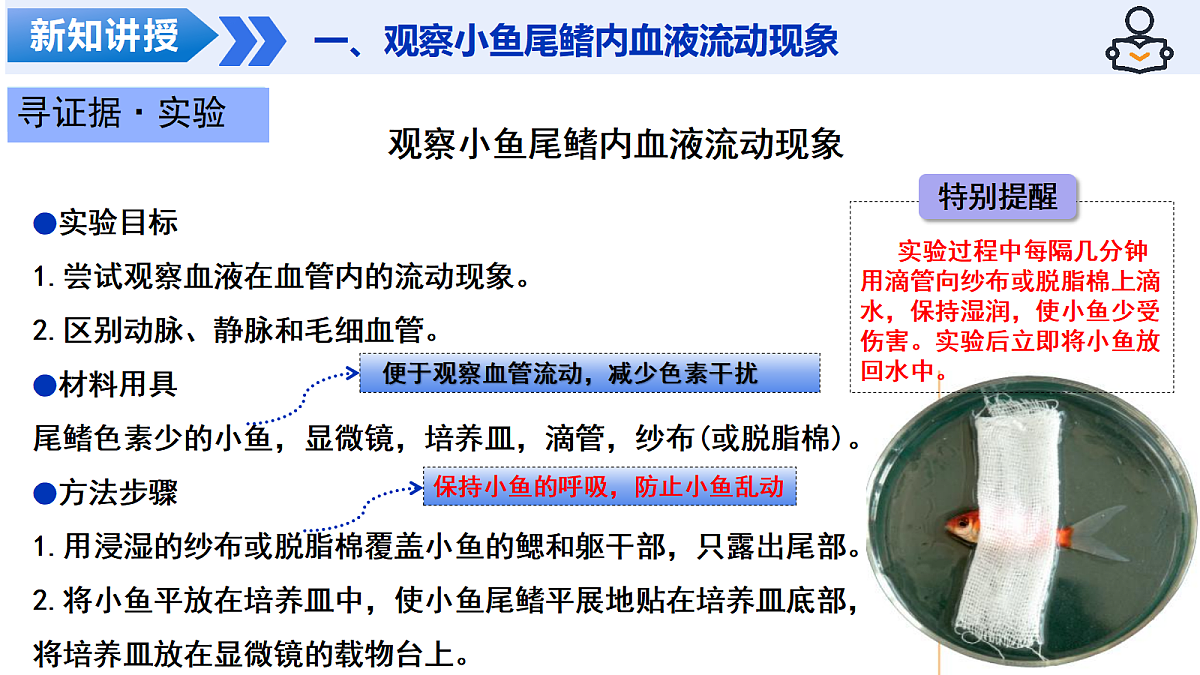 18469147第5页