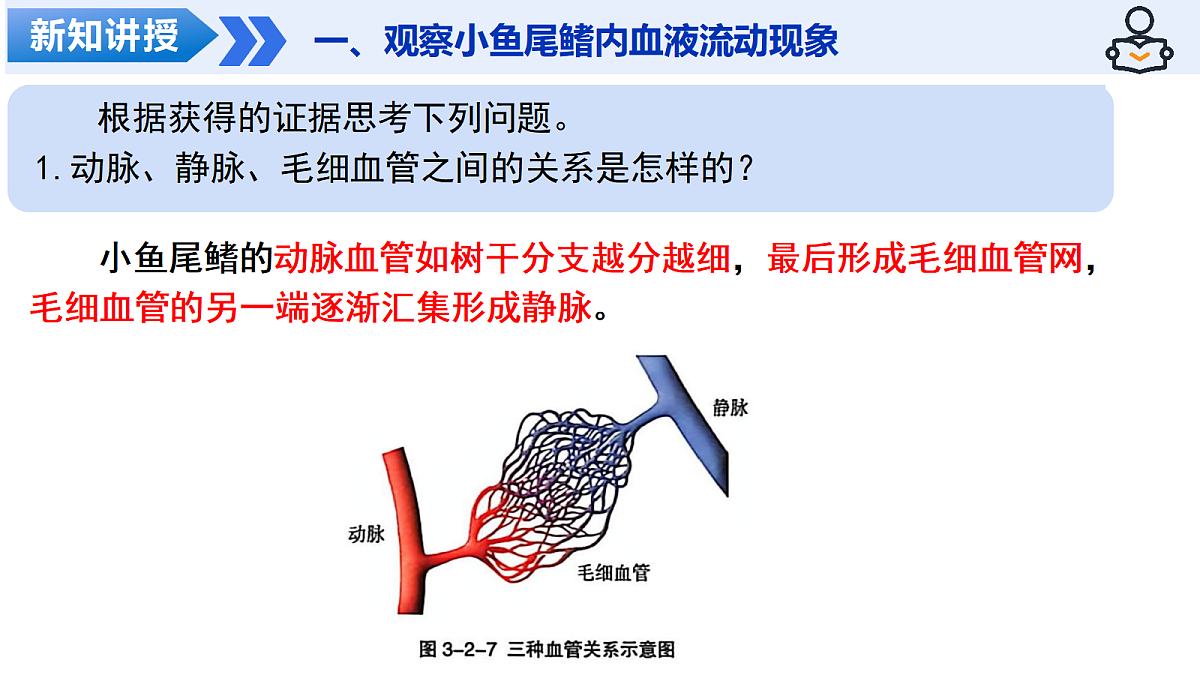 18469147第7页