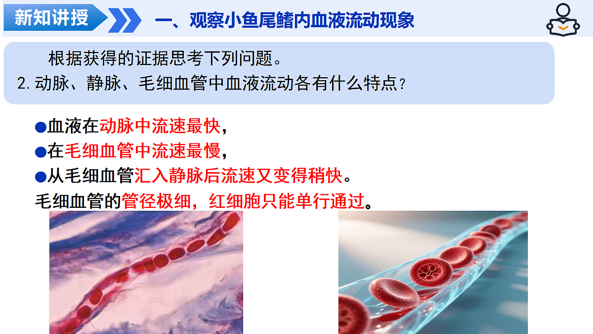 18469147第8页