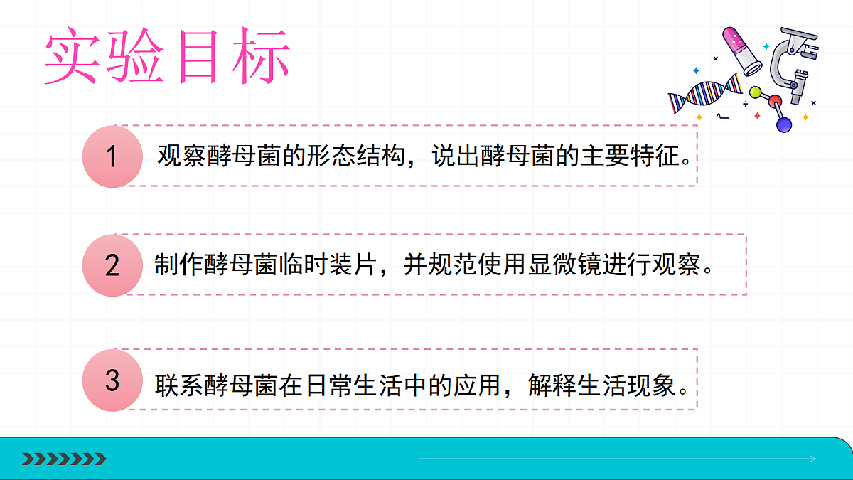 18469203第3页