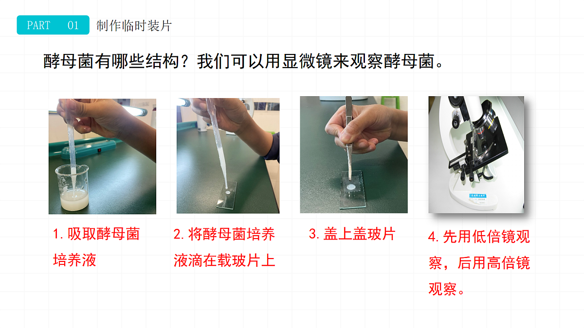 18469203第5页