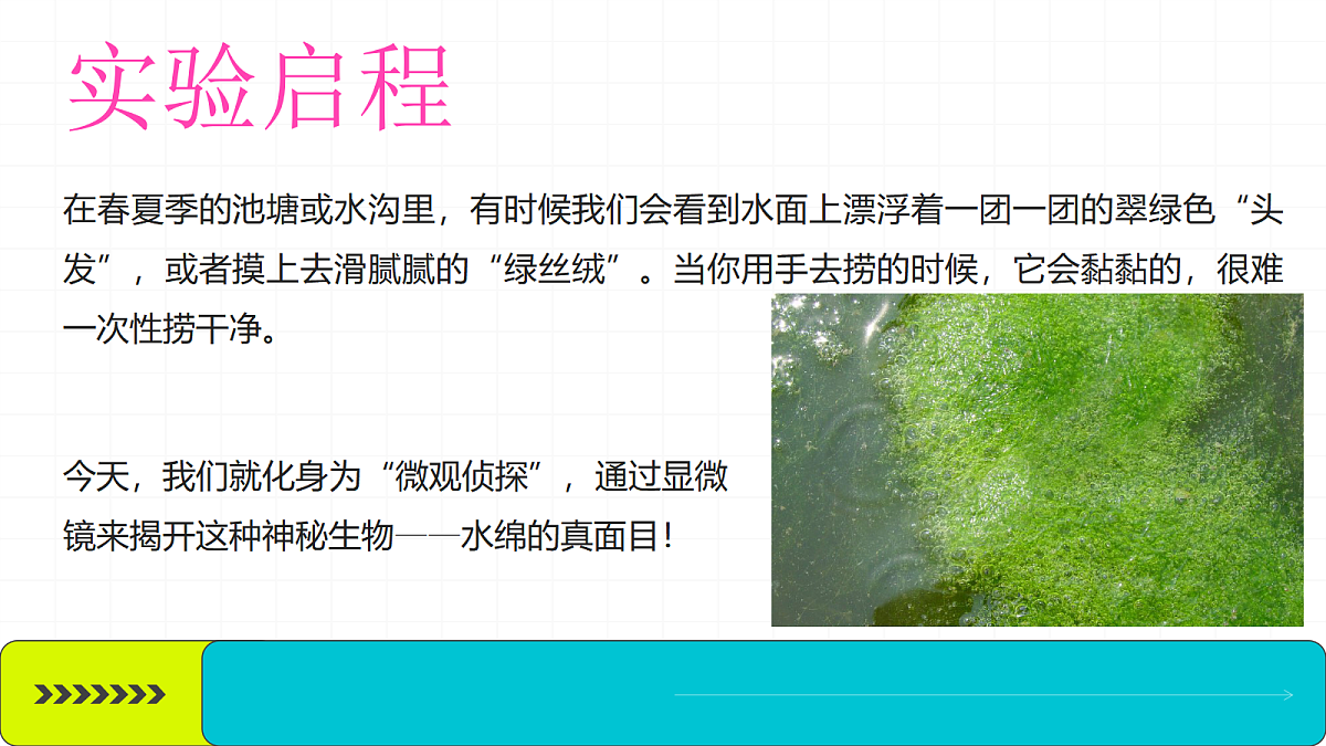 18469204第2页