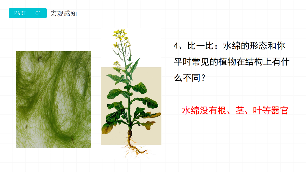 18469204第6页