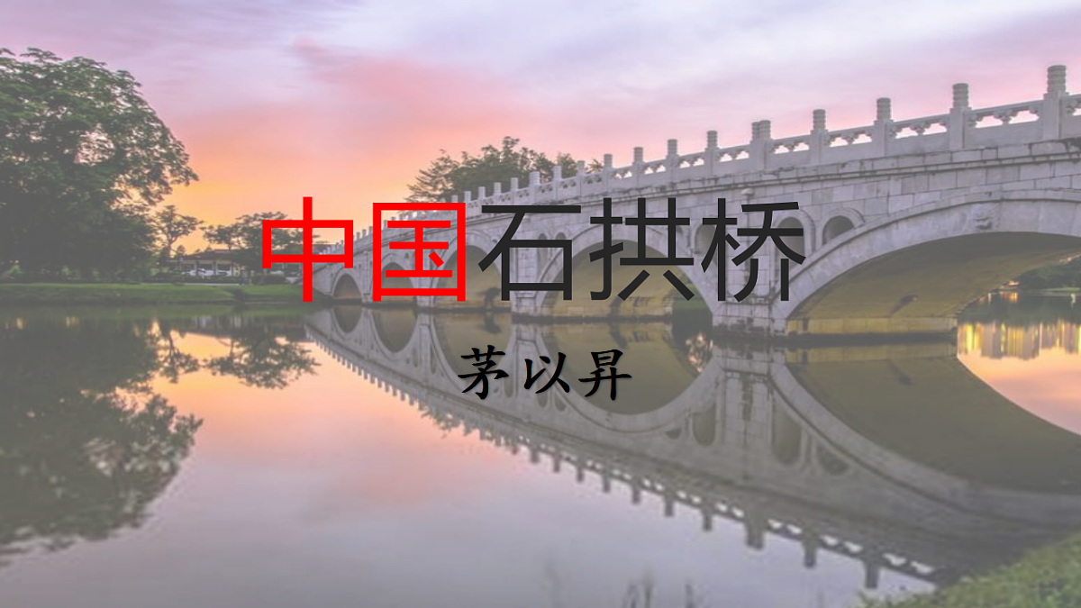 18469466第2页