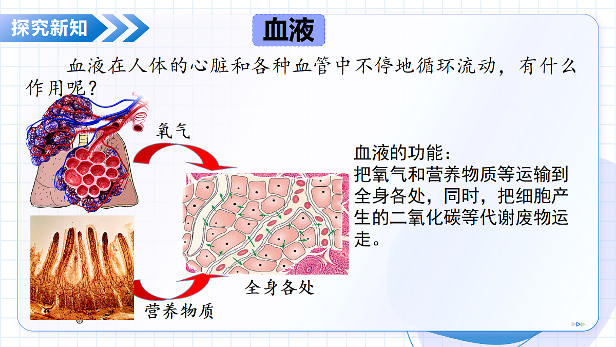 18475256第8页