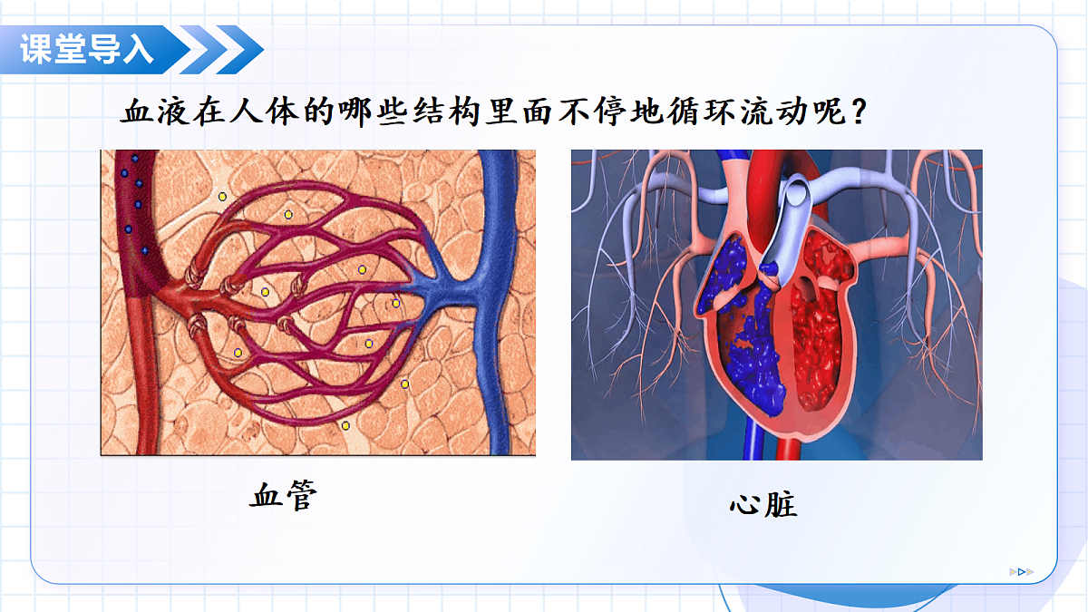 18475257第6页