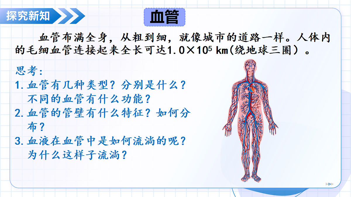 18475257第7页