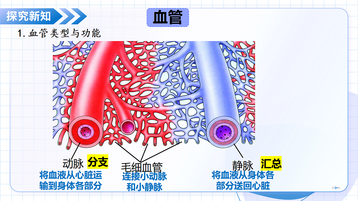 18475257第8页