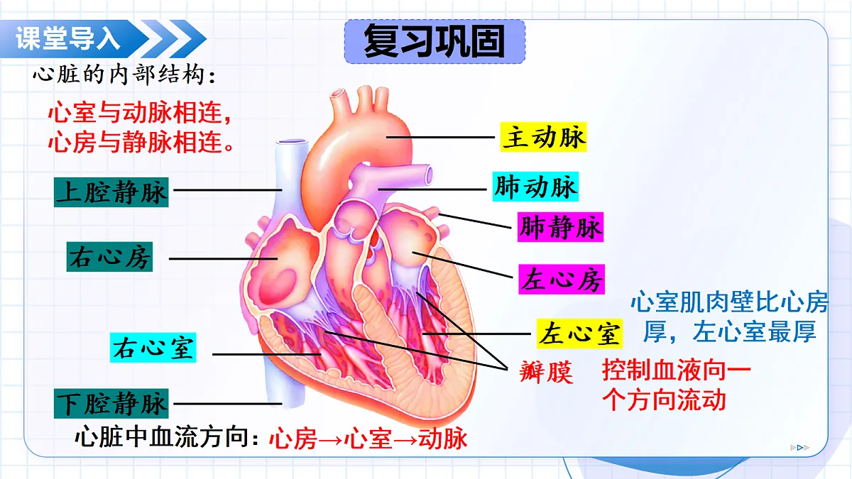 18475258第6页