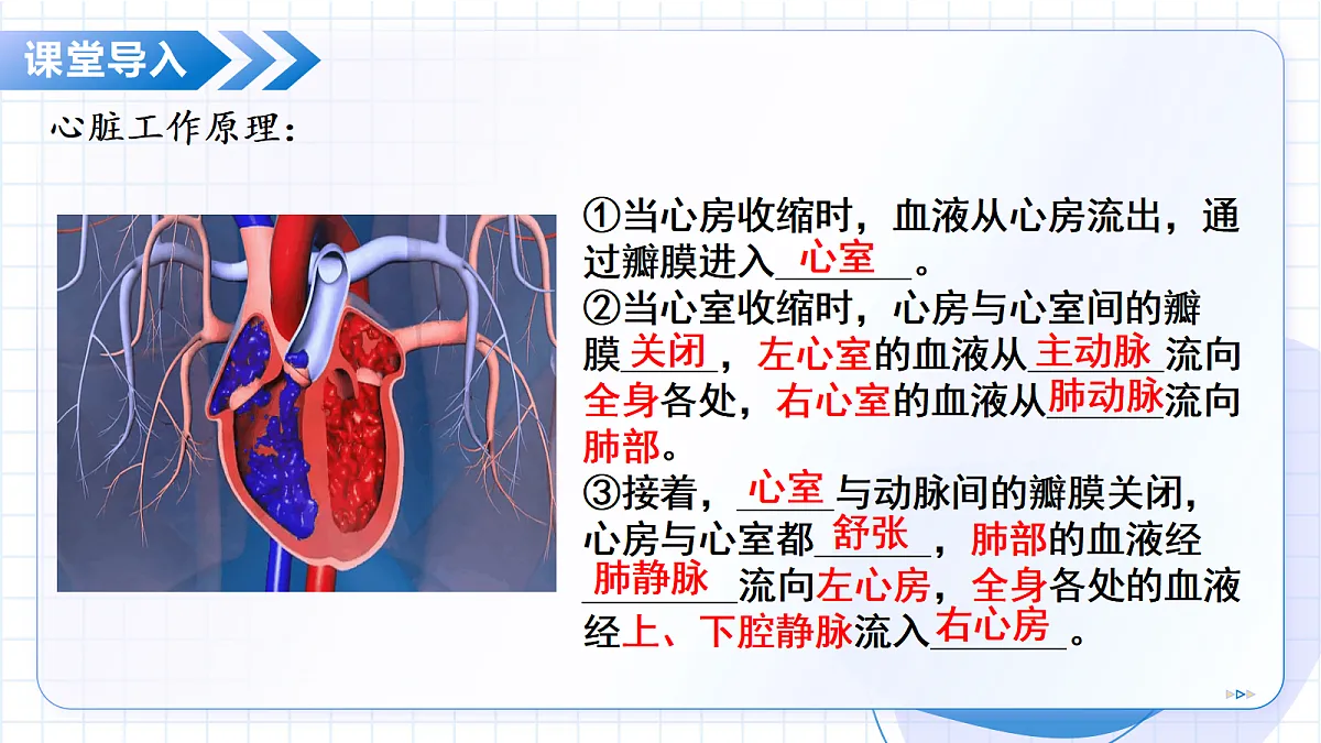 18475258第7页