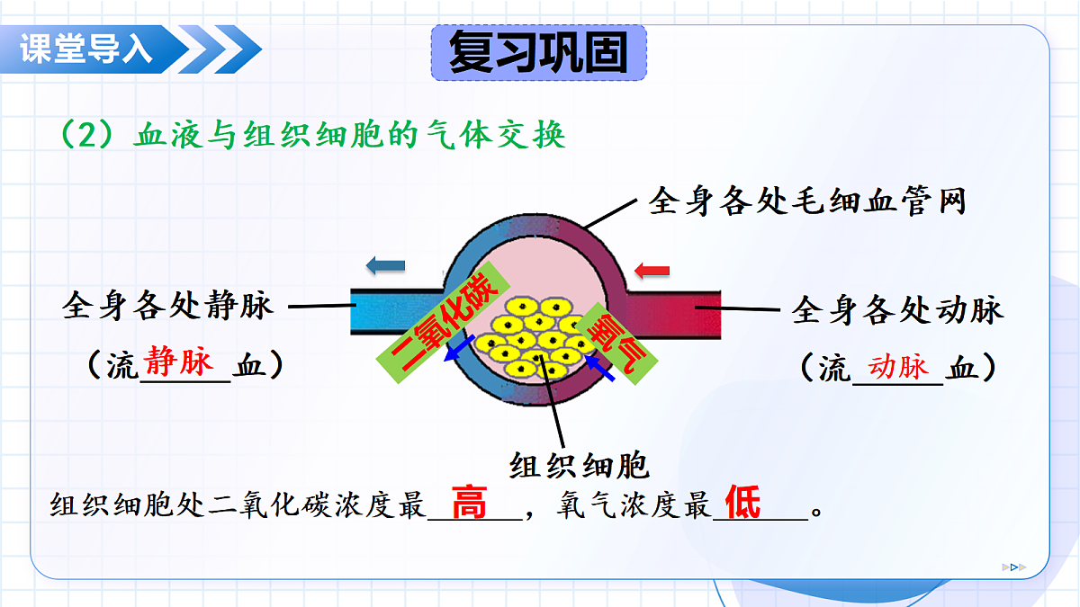 18475316第7页