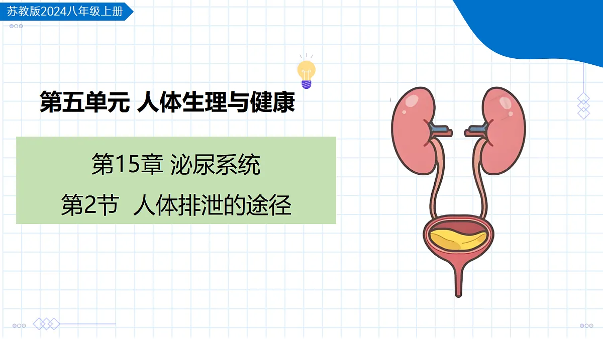 18475317第1页