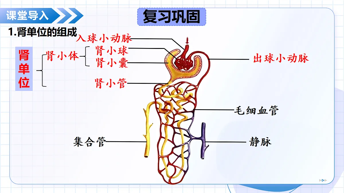 18475317第5页