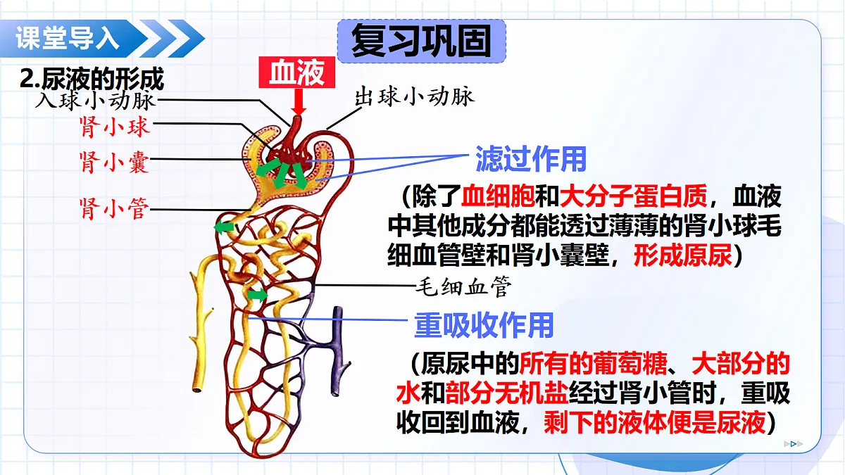 18475317第6页