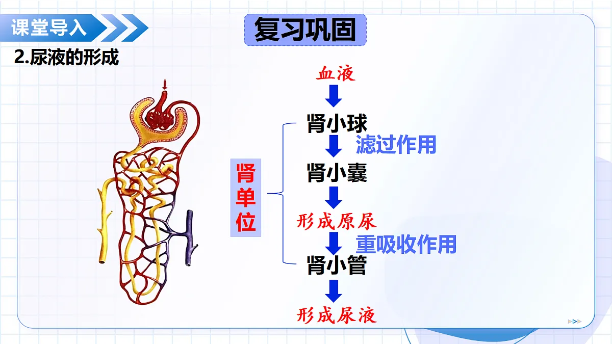 18475317第7页