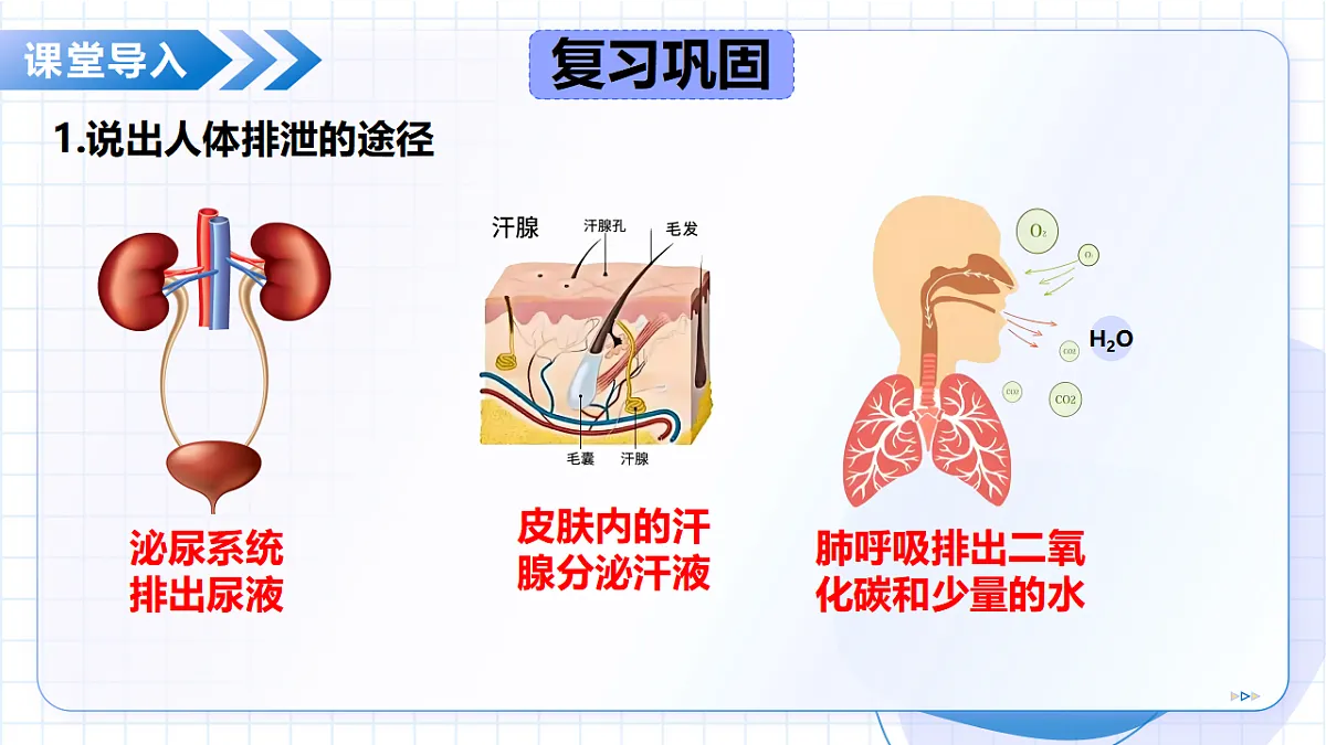 18475373第5页