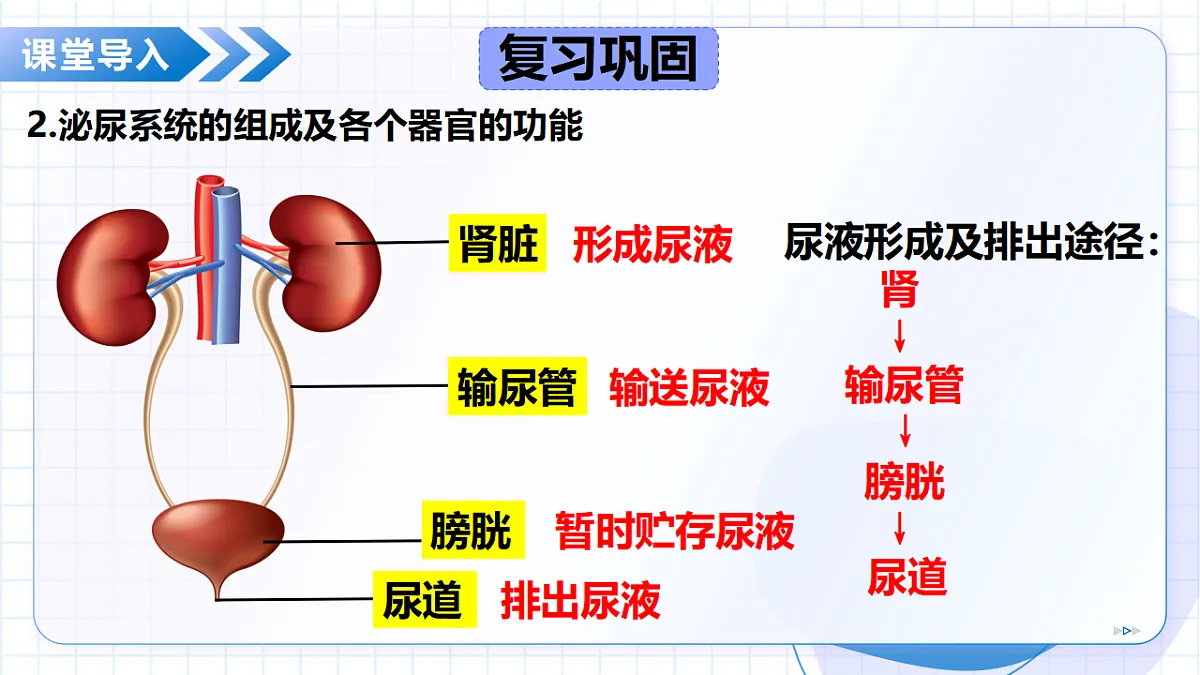 18475373第6页