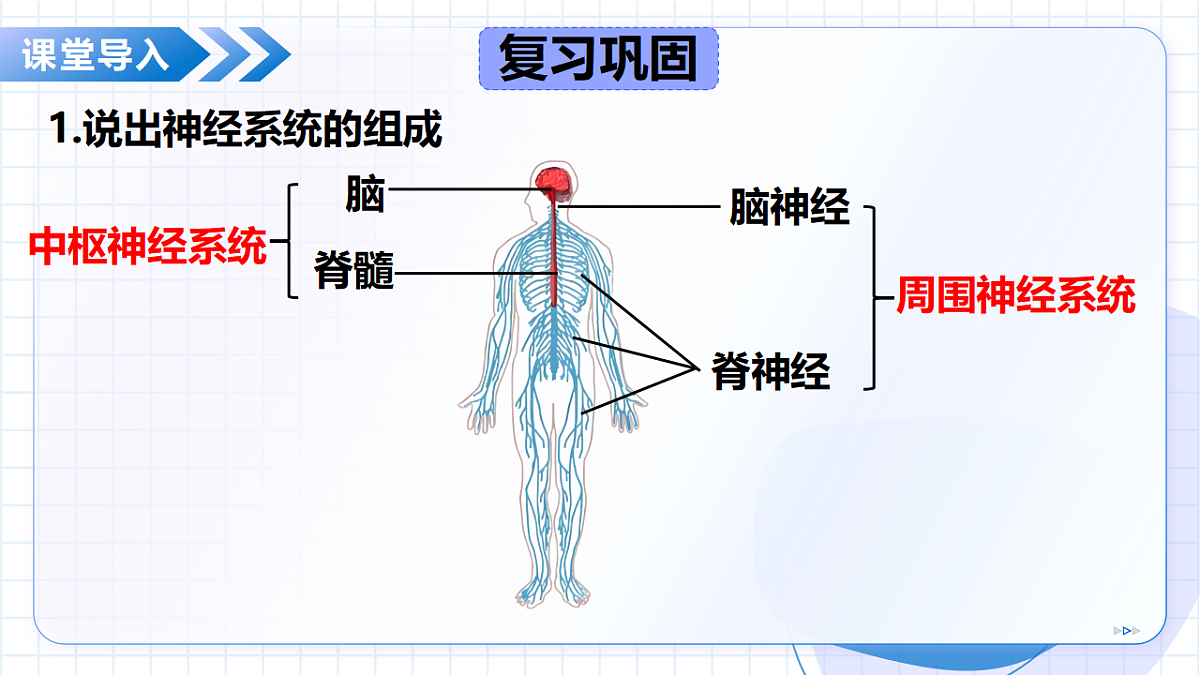 18475374第5页