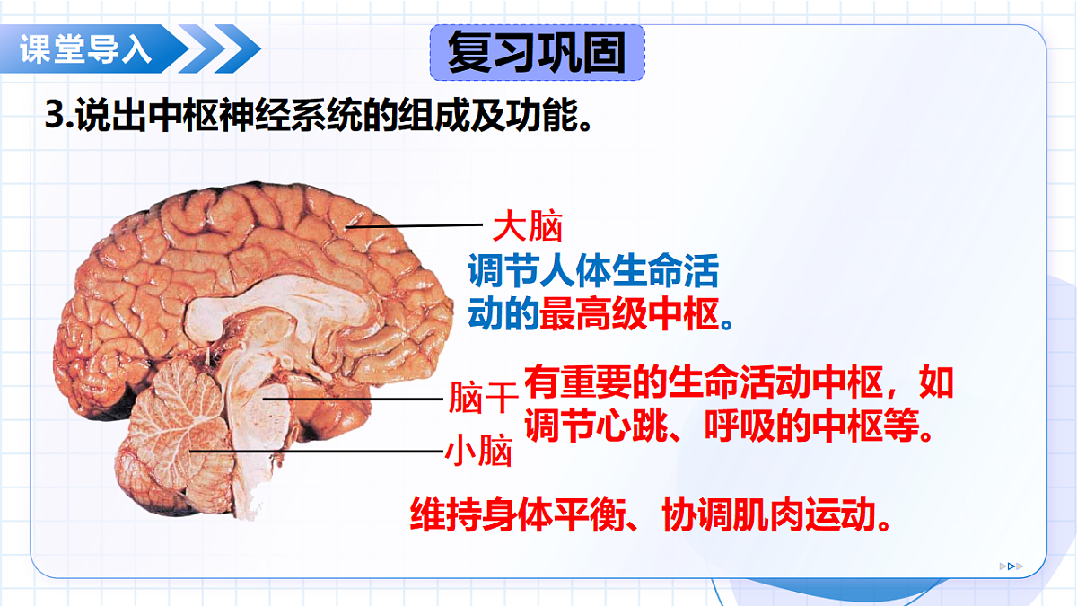 18475374第7页