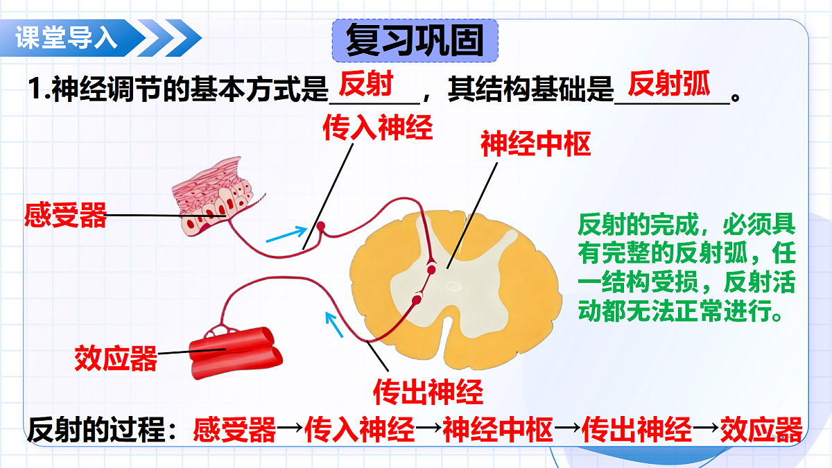 18475375第5页